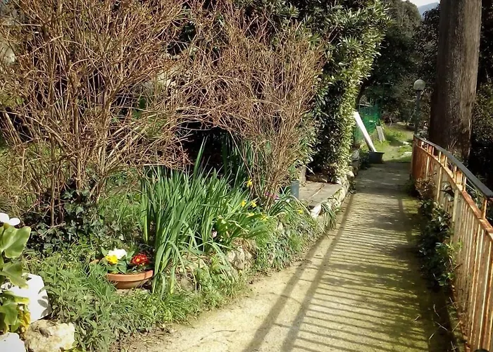 Il Cedro Oda ve Kahvaltı 3*