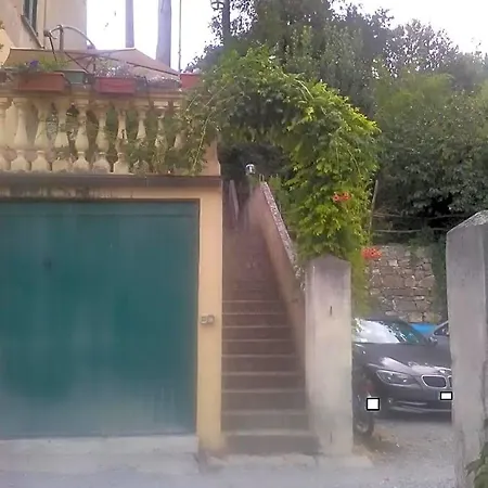 Il Cedro