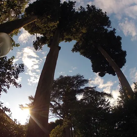 Il Cedro 3* Γένοβα