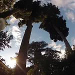 Il Cedro 3* Genua